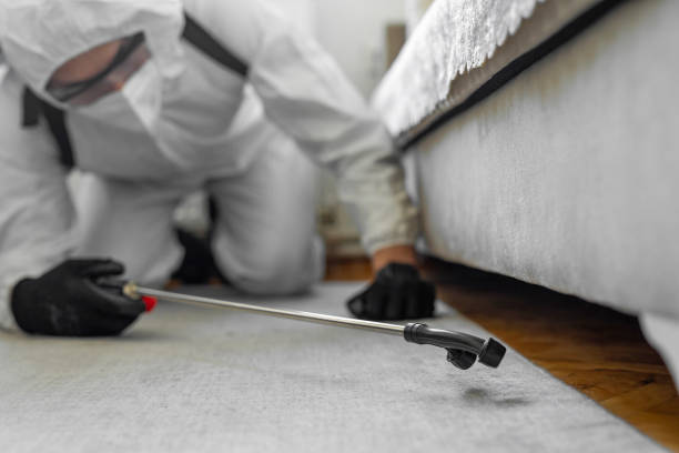 Professional Termite Control technician working in Las Palmas II, TX