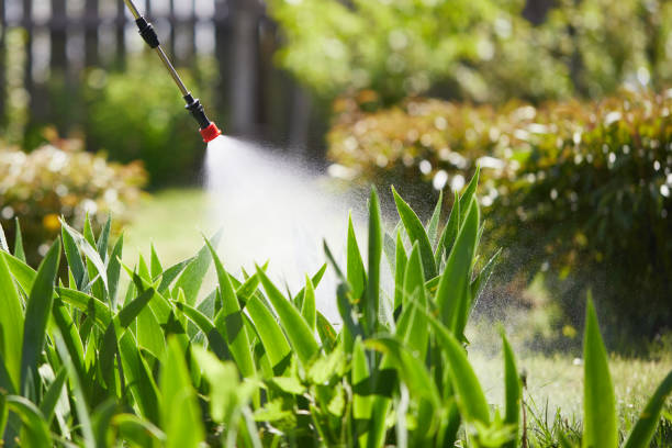 24/7 Emergency Termite Control experts in Las Palmas II, TX