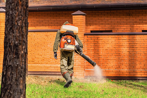Trusted Termite Control service in Las Palmas II, TX - Nex Pest Control